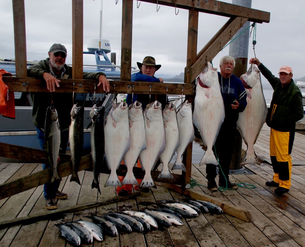Tranquil Charters and Lodging