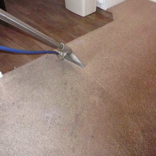 Carpet Cleaning, Home's and Apartment's