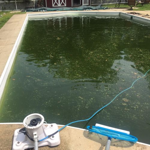 Pool in Millersville MD 