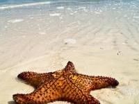 Walk the sands of the beach!