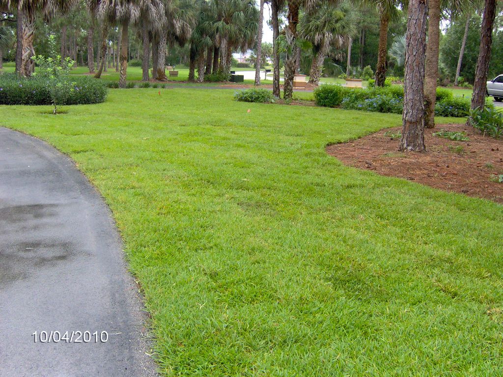 Landscape Design, Installation.