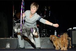 Performing dog tricks on stage