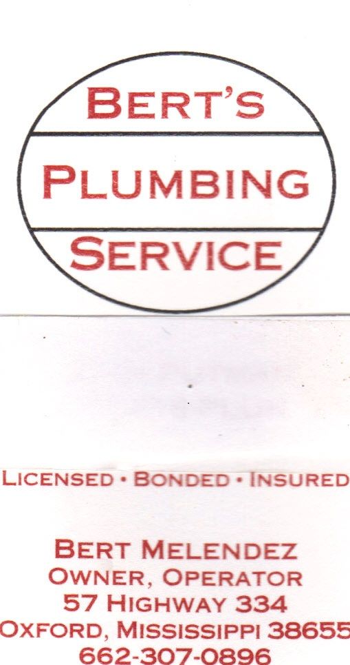 Bert's Plumbing Service LLC