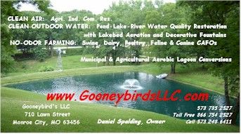 Gooneybird Sales LLC