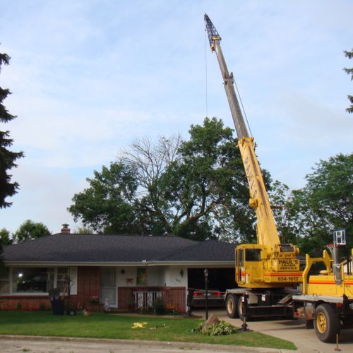 Using a crane to remove tree