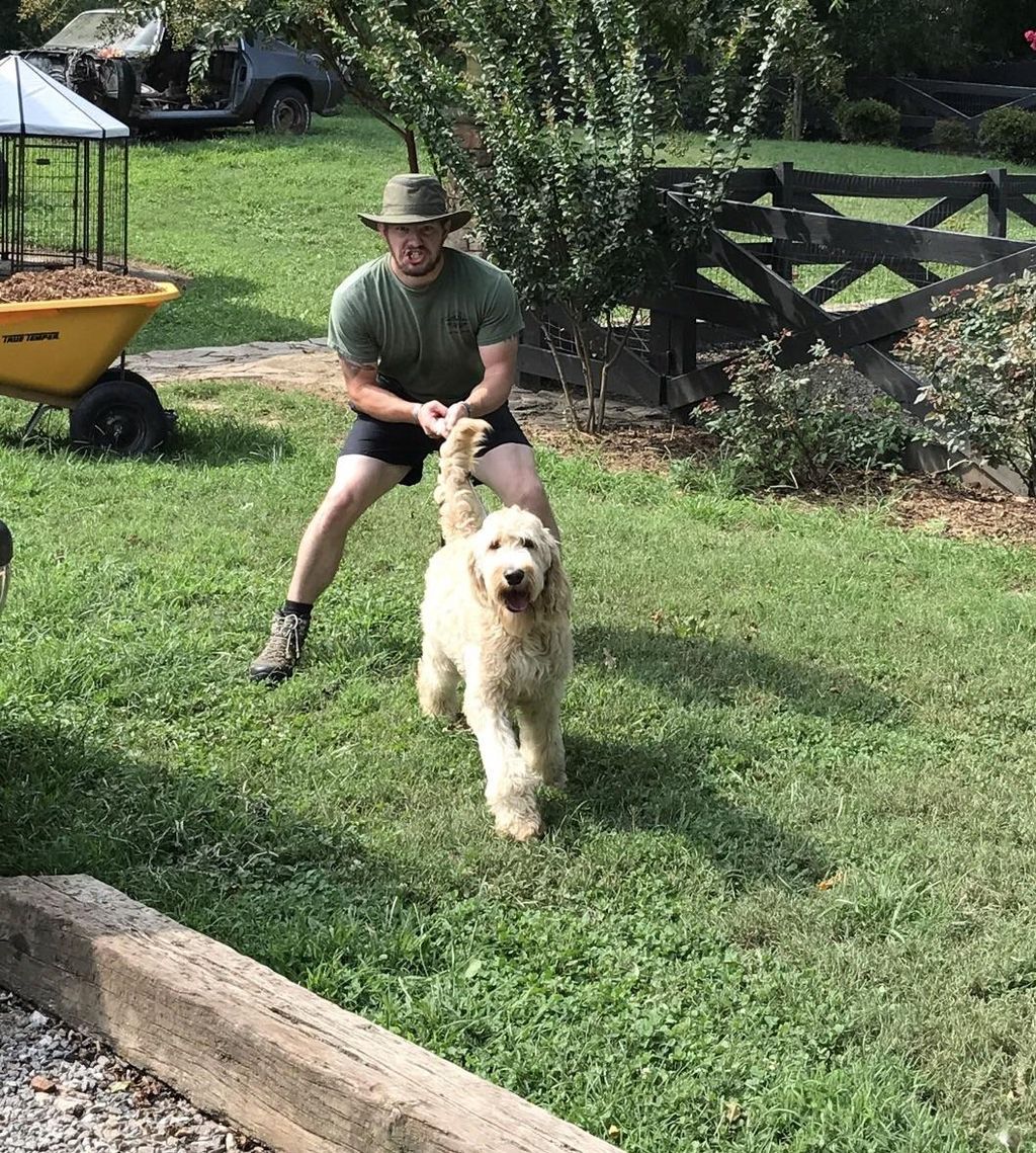 Highland Canine Training LLC, Atlanta