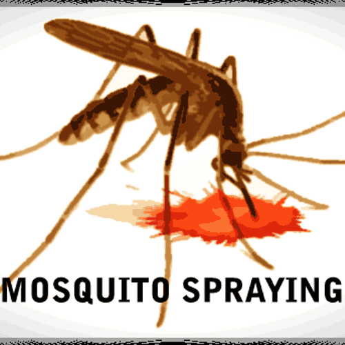 Mosquito Pest Control & Spraying in Andover, Balla