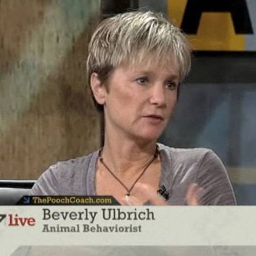 Beverly on ABC talking about a recent pit bull att