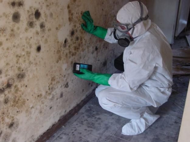 We are licensed to perform indoor environmental as