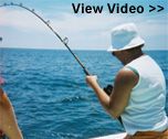 Deep Sea Fishing trips Georgia Florida videos...