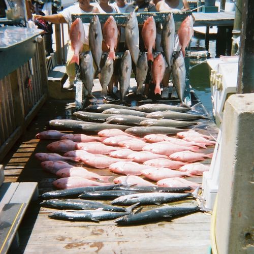 One day deep sea fishing bottom fishing trips with