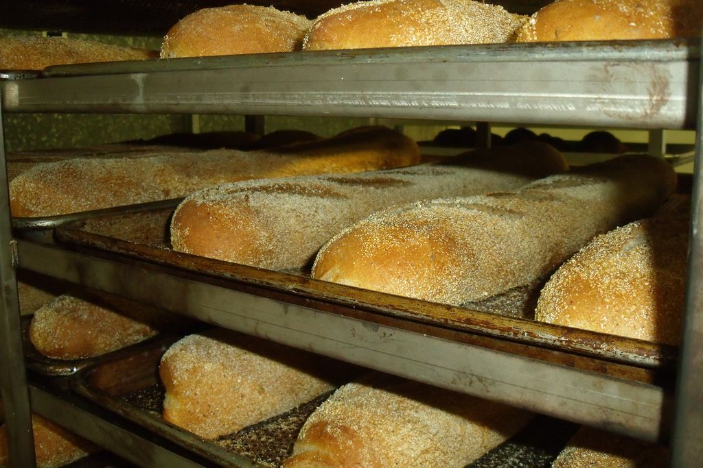Bread Project