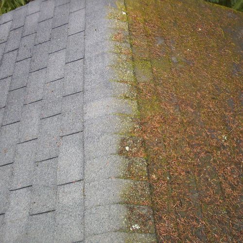Moss be gone!  Add years to your roof and curbside