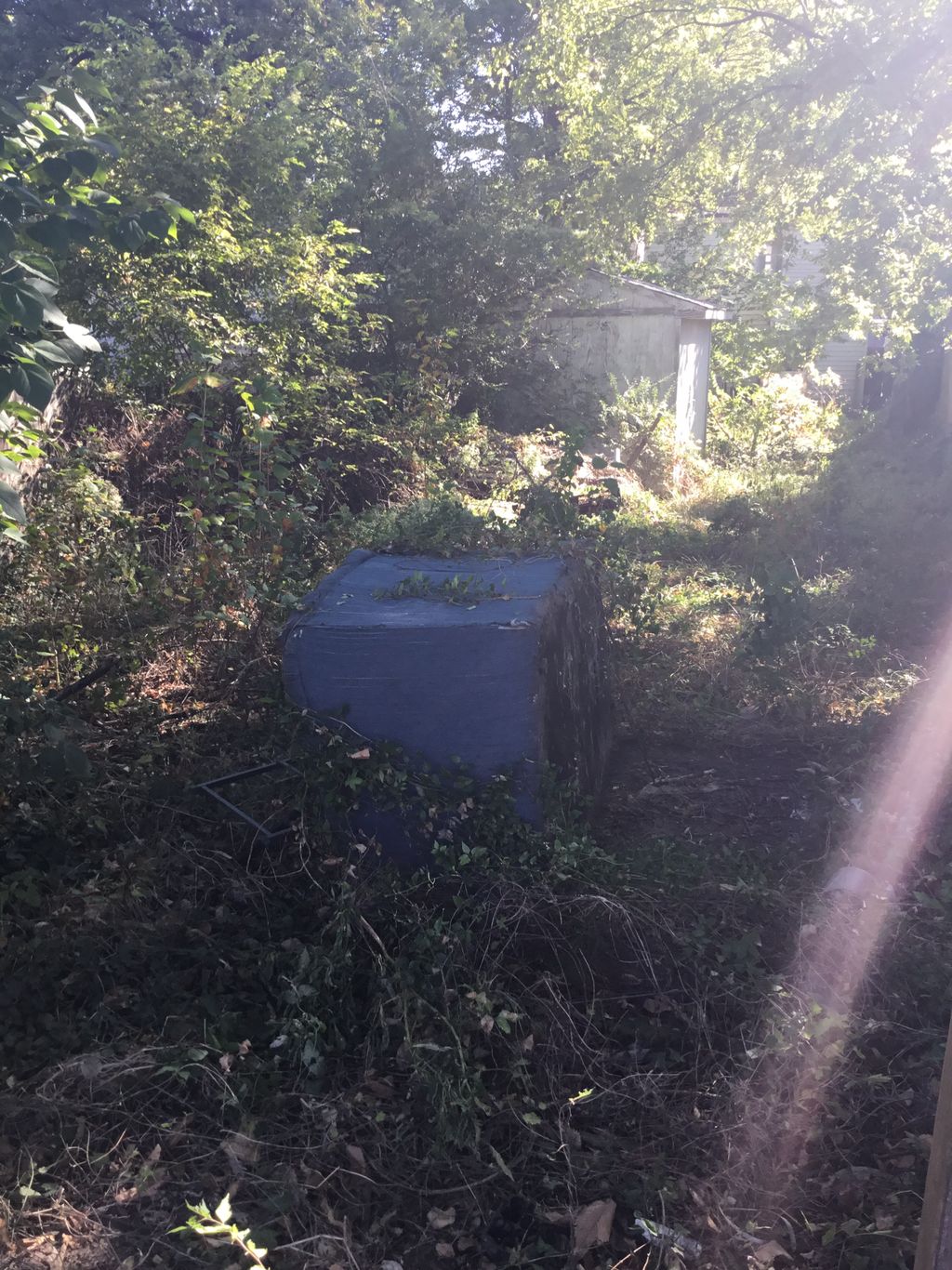 Before trash removal 