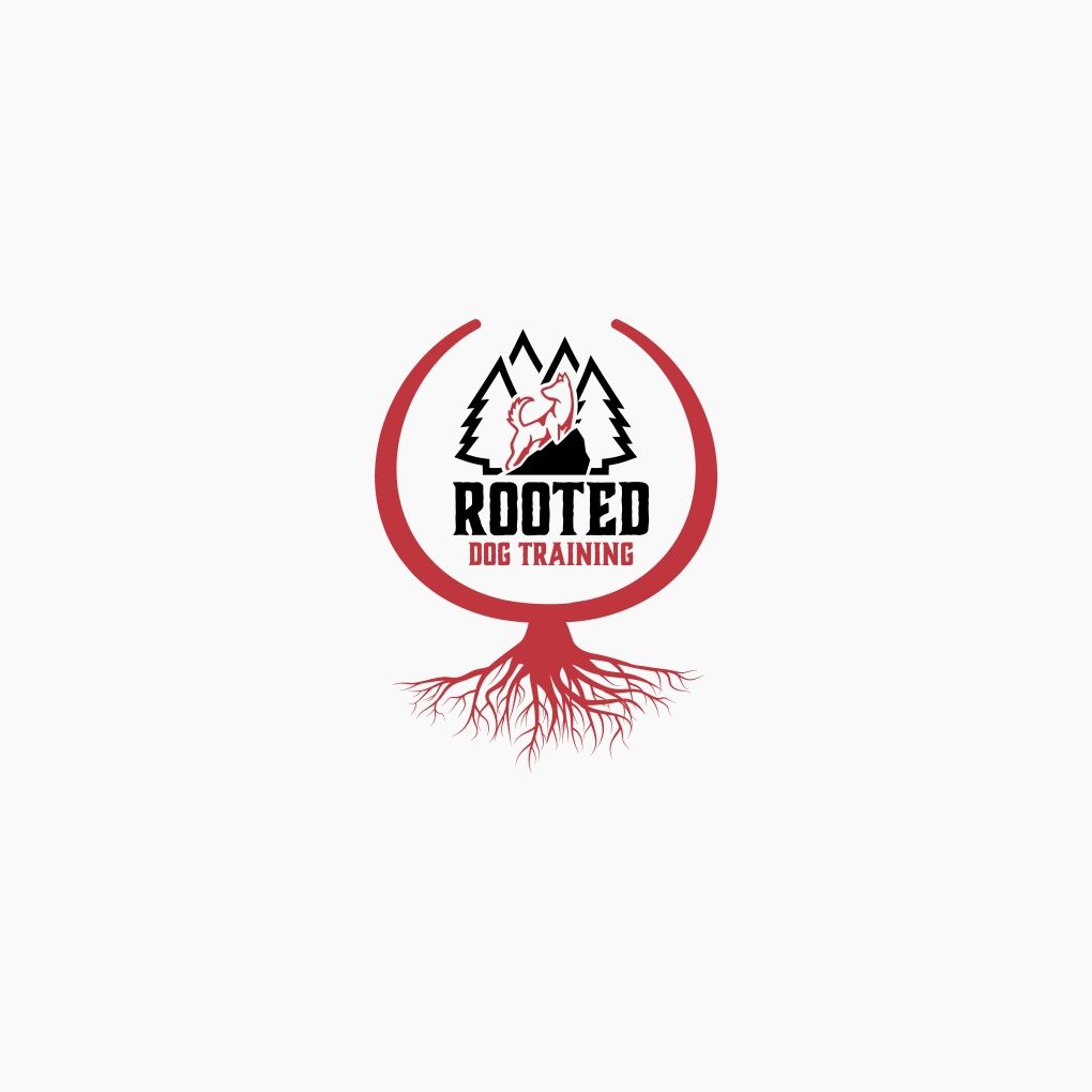 Rooted Dog Training