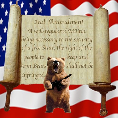 2nd Amendment Right of citizens to Arm Bears