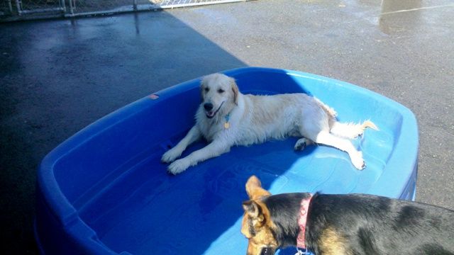 Enjoying Pool time outside!