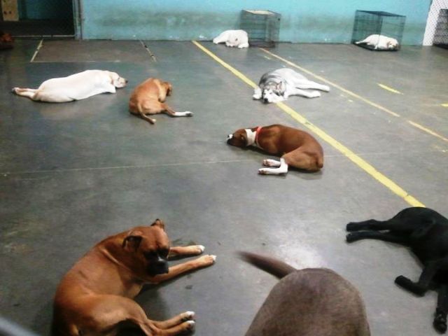 Now this is how you do a Nap Time
