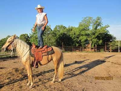 Do you trust your horse? Sure Ray 5 year old Misso