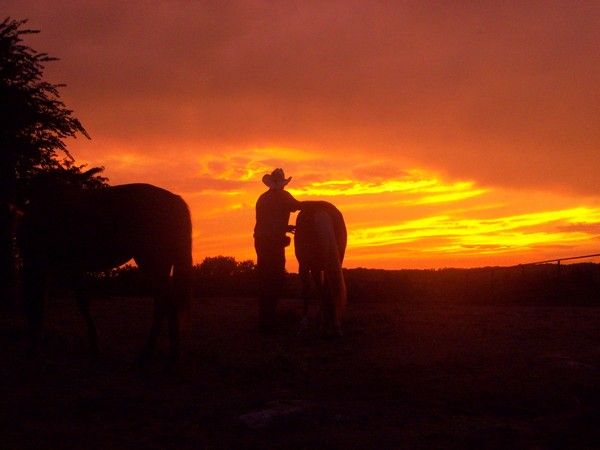 Just another day at Bucks and Spurs Guest Ranch