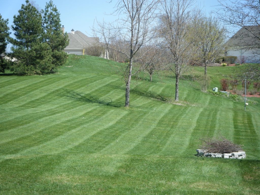 Turf management, fertilization, and broad leaf wee