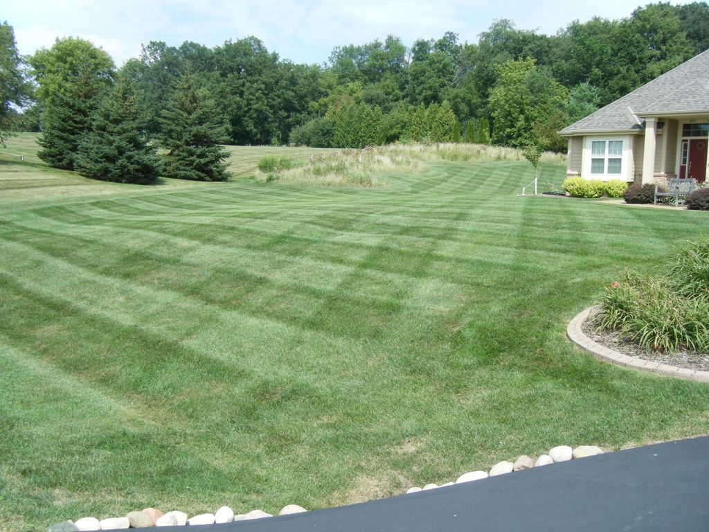 Turf management, fertilization, and broad leaf wee