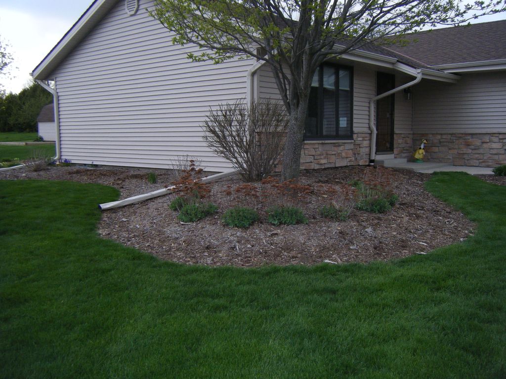 BEFORE:  Planting bed redesign and installation wi