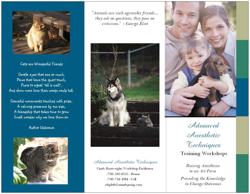 Sample Brochure