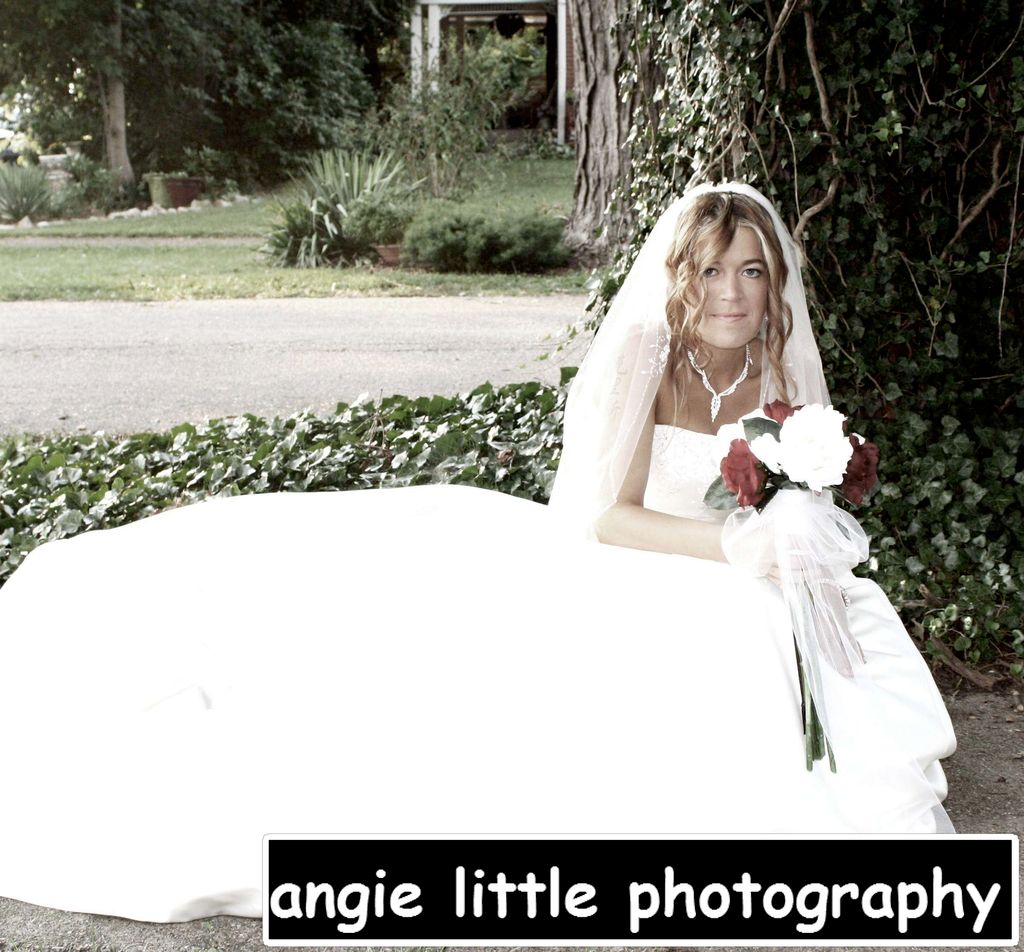 Angie Little Photography