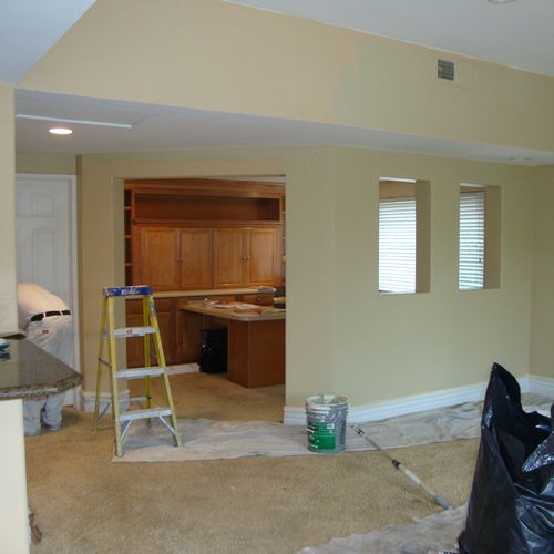quality painting - interior custom color in progre