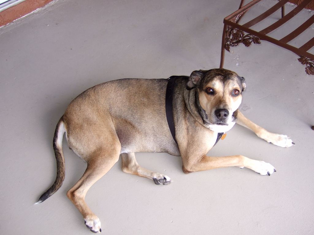 KALLA