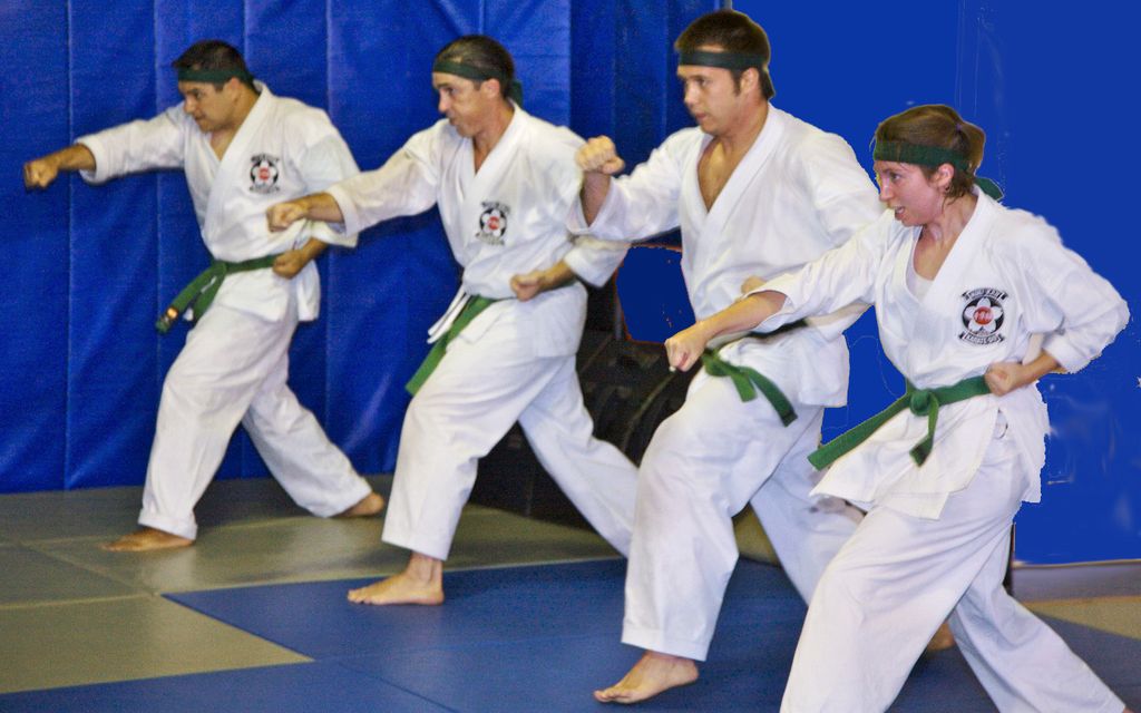 kihon waza: reverse punch