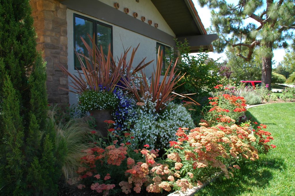 Mediterranean Garden