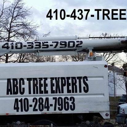 ABC Tree Experts