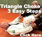 Picture I have on www.rocknrollbjj.com that if you