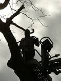 We use professional climbing gear, lifts and highl