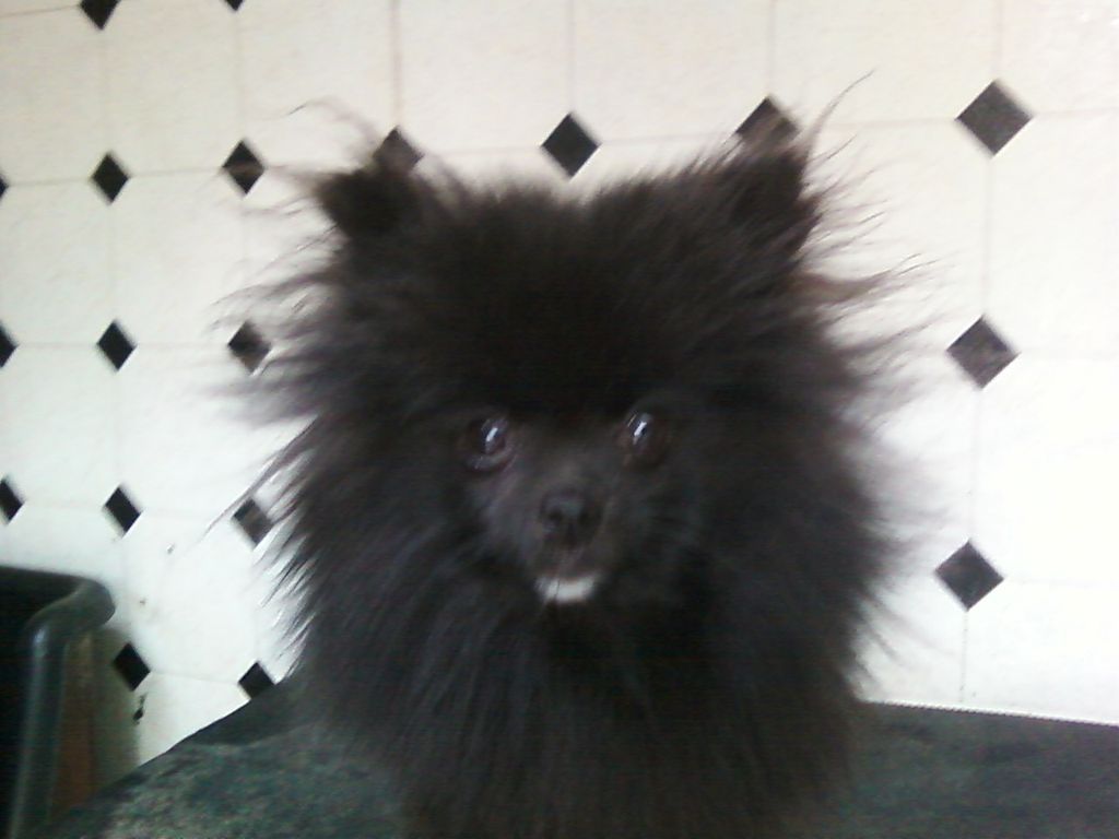 From the tiny...............