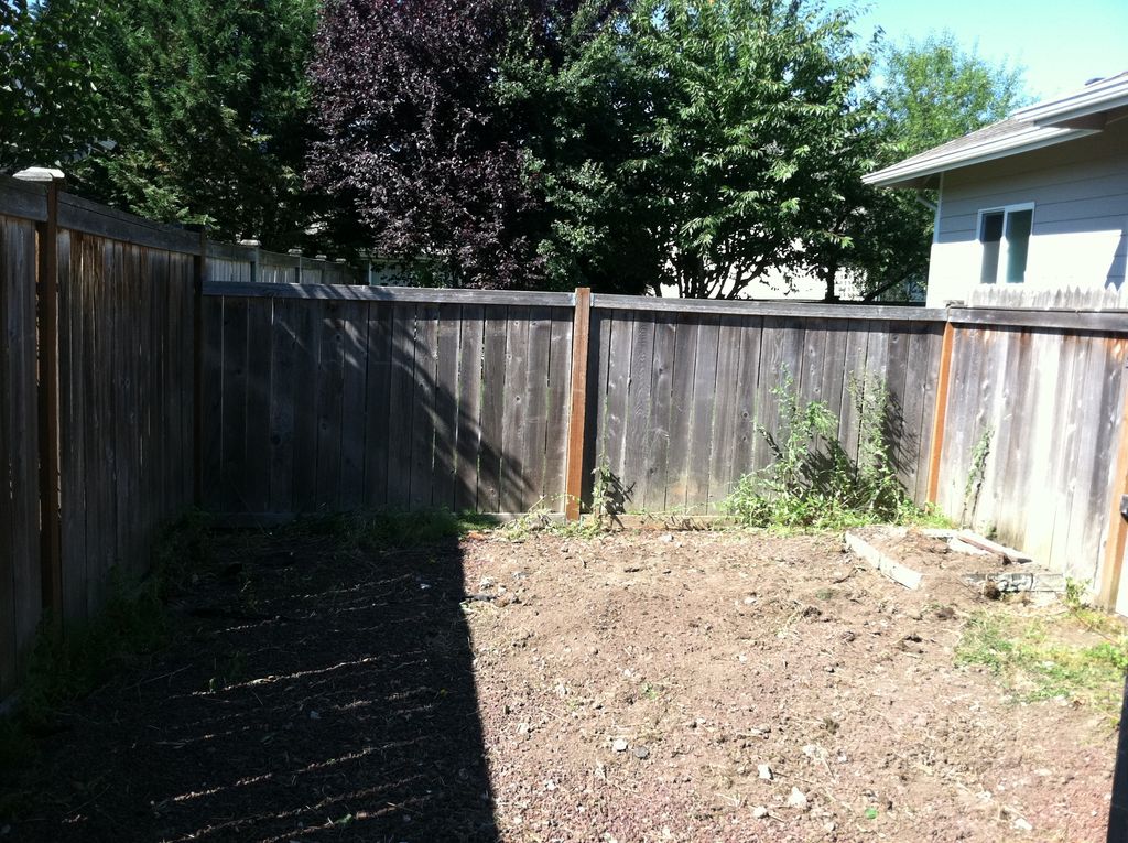 Junk Removal - after, Orting Area