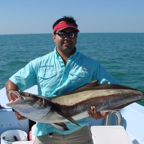 Big Cobia are hard to catch!