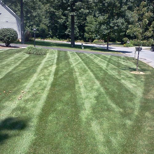 A-Z Lawn Maintenance
