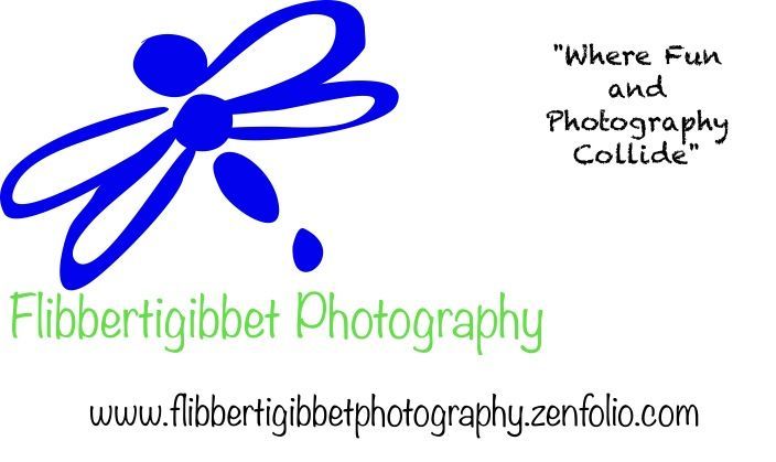 Flibbertigibbet Photography