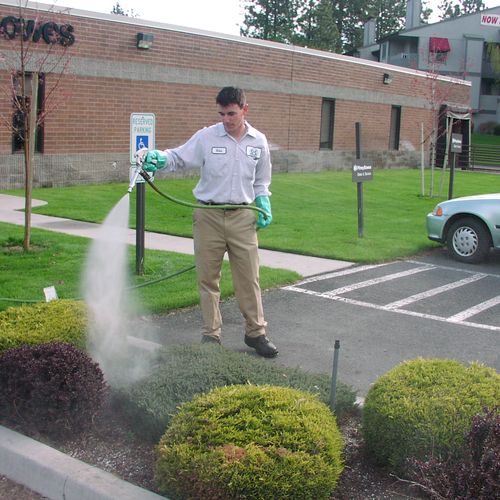 Let our spray team keep your trees and shrubs heal