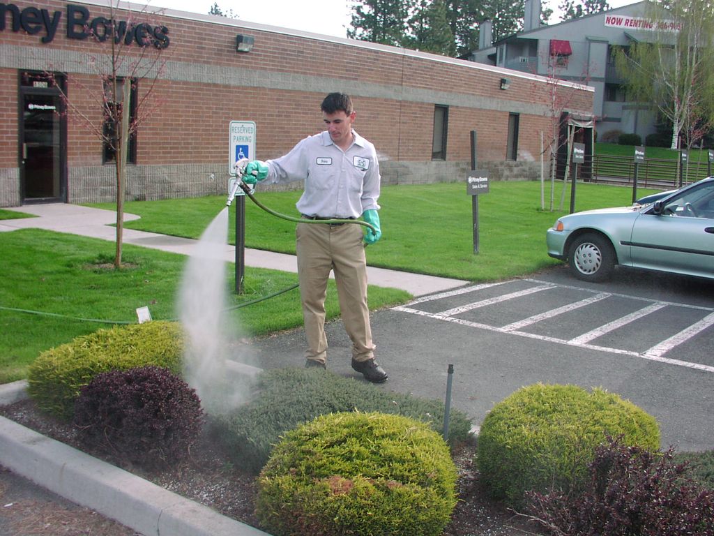 Let our spray team keep your trees and shrubs heal