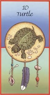Turtle - Medicine cards