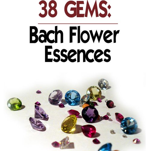 lectures and wellness products such as Bach Flower