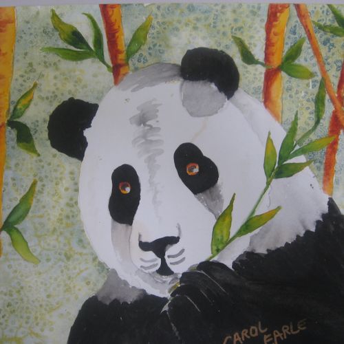 'Panda' Watercolor 11 x 15
