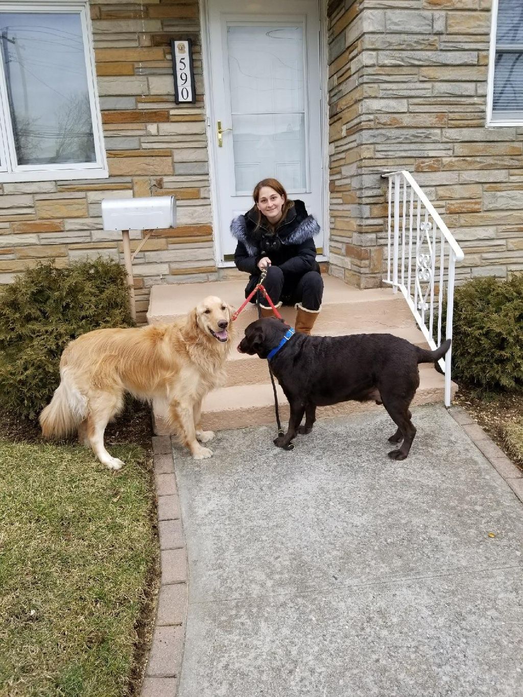 Classy K-9 In-Home Groomer - Wake 