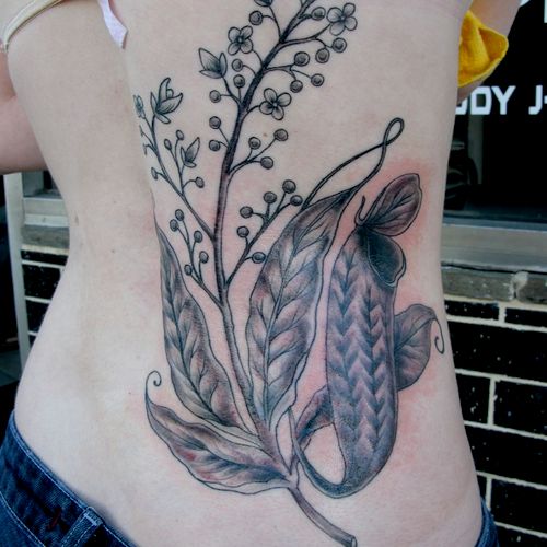 Plant Life Tattoo - Deirdre Doyle