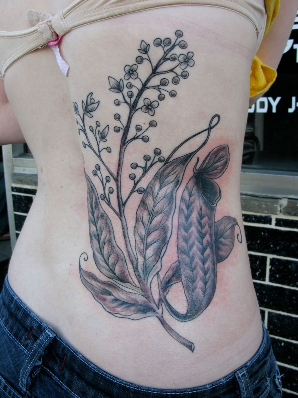 Plant Life Tattoo - Deirdre Doyle