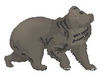 Ursus Enterprises Inc.